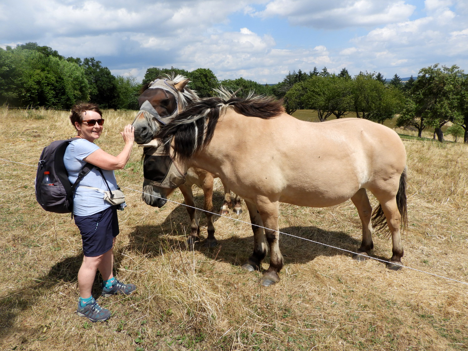 Lil with friendly ponies near Holzfeld