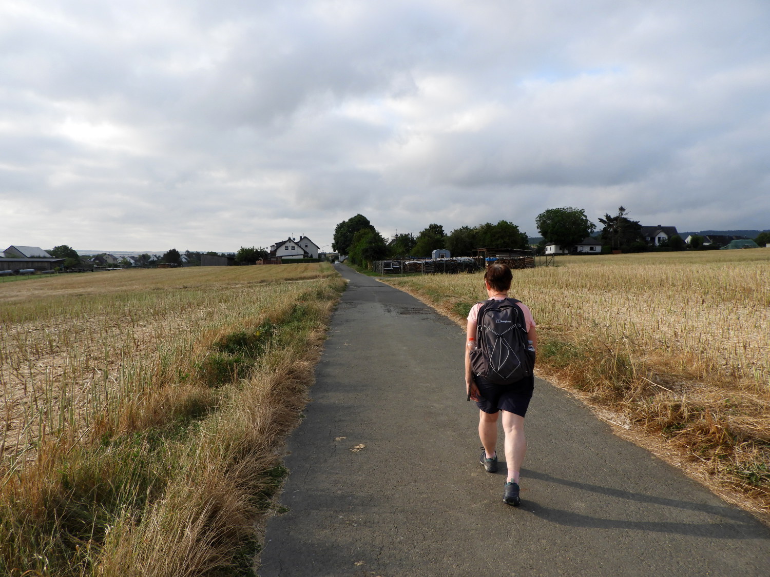 Fields near Werlau