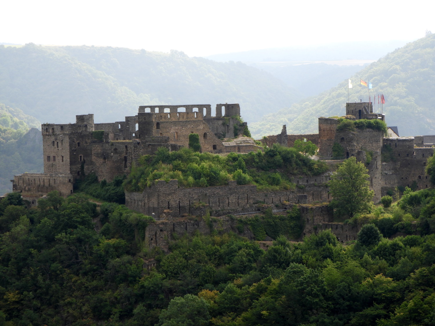 First sight of Rheinfels Castle