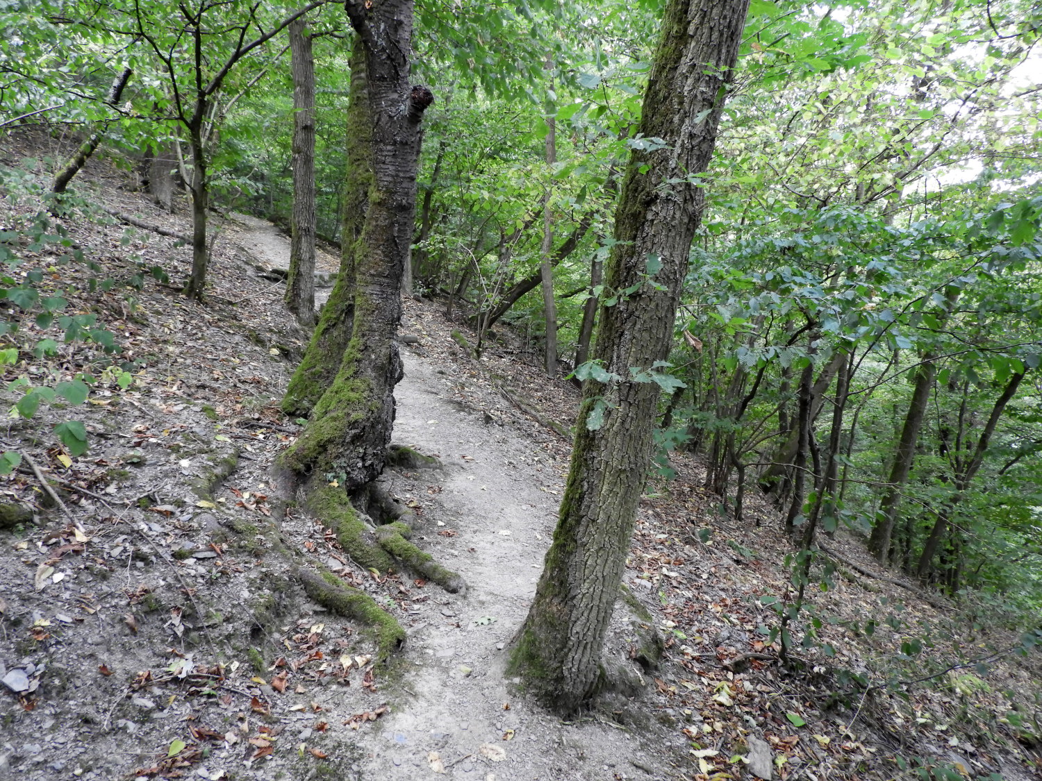 On the climb from Grundelbach