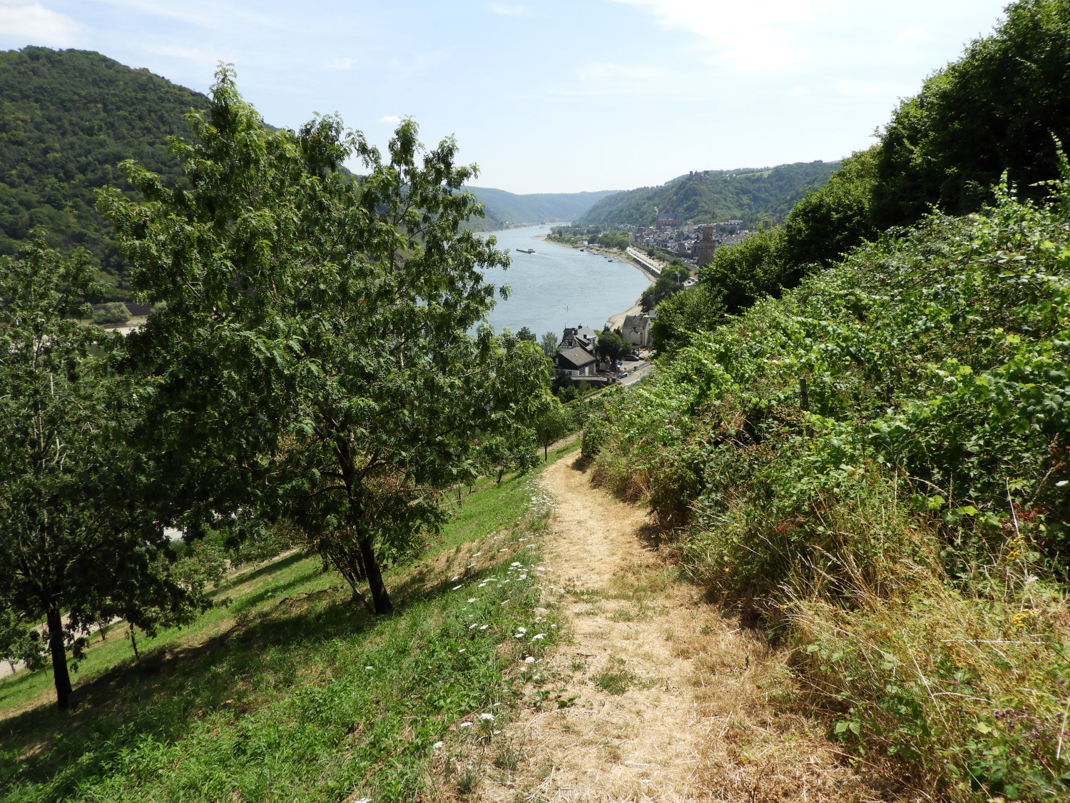 Descending into Oberwesel