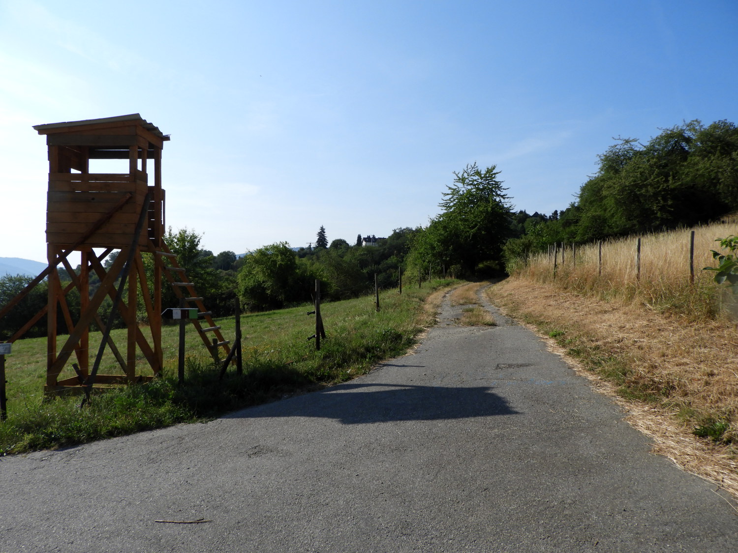 Quiet road near Neurath