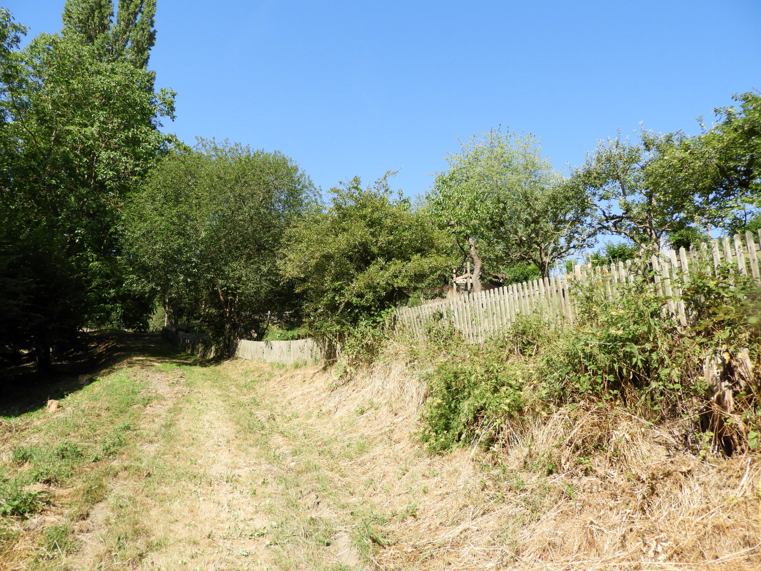 The path running above the Winzbach