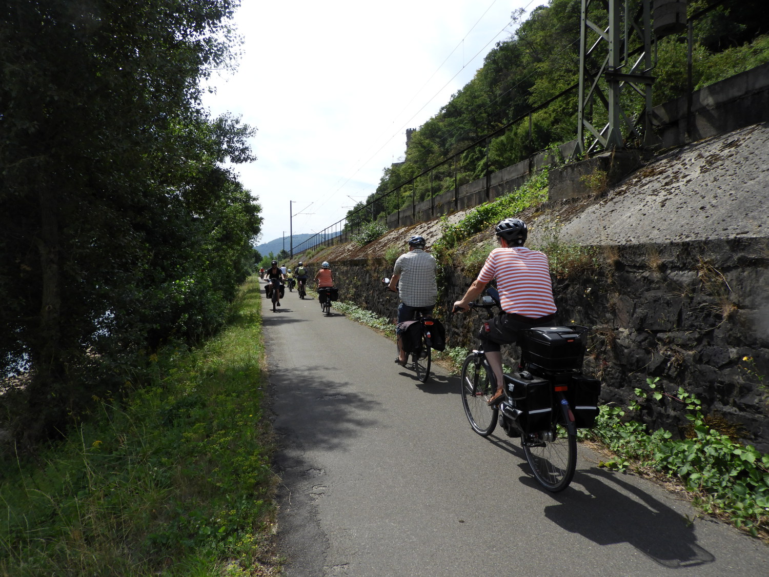 A collection of cyclists