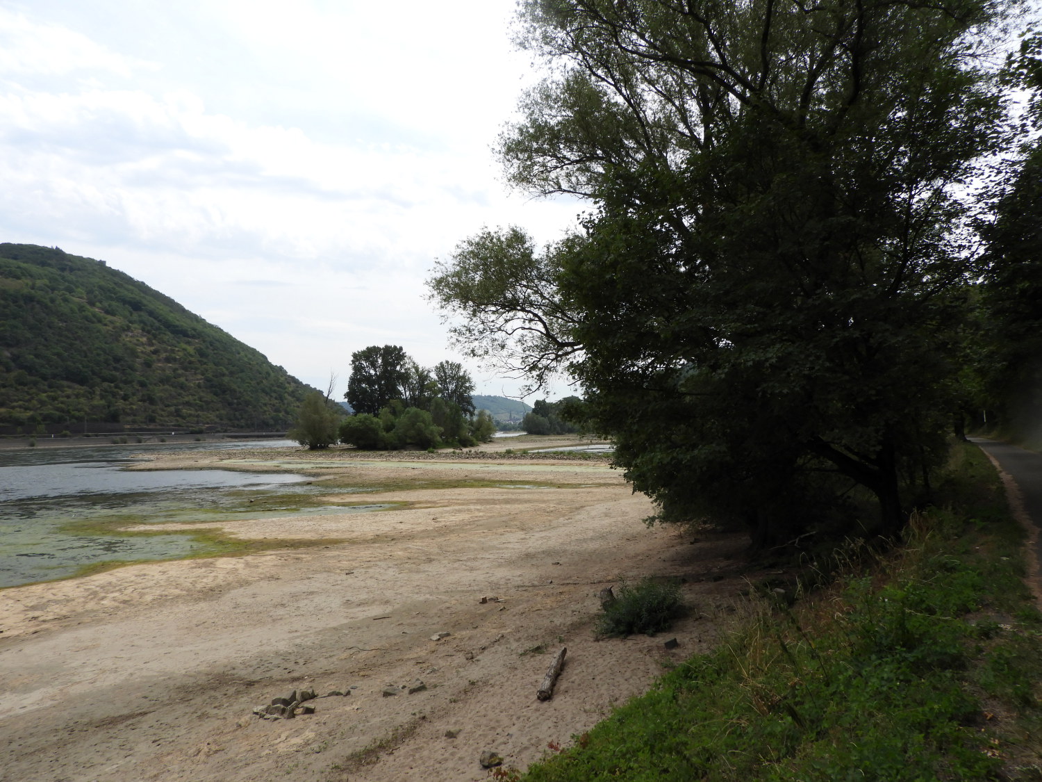 Sandbanks appearing in the low level Rhine