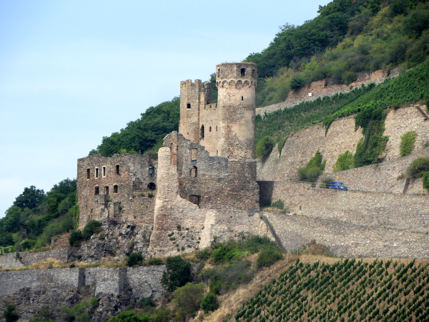 Burg Ehrenfels