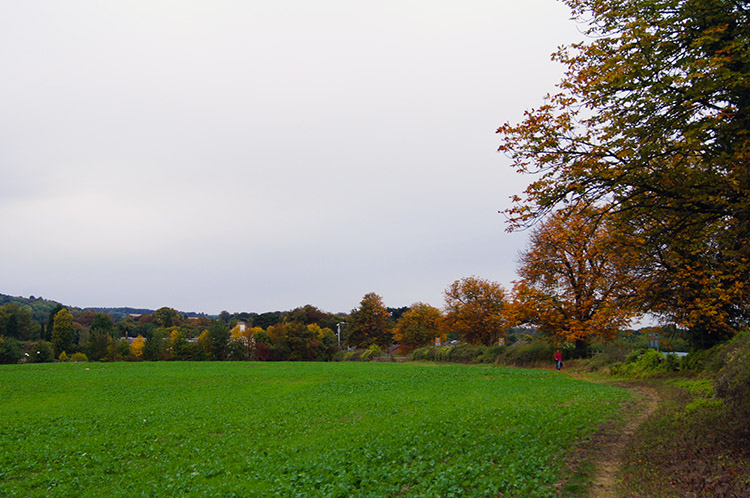 Near Tring Station