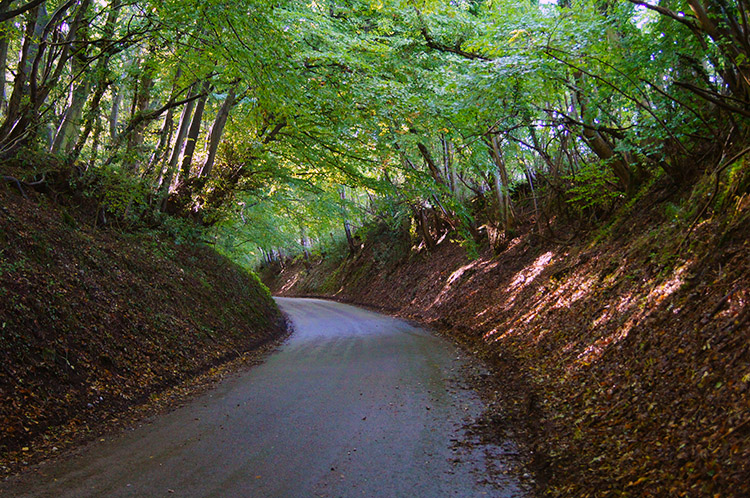 Holloway road near Hastoe Cross