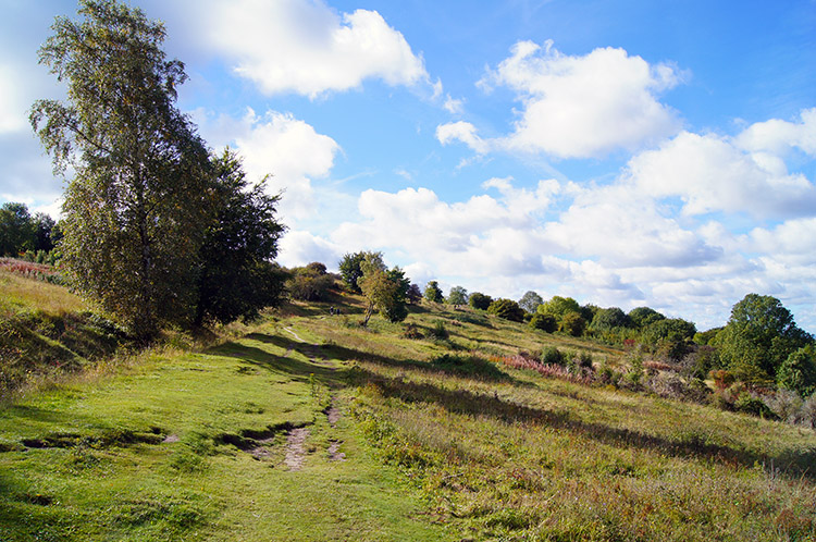 The climb of Bacombe Hill