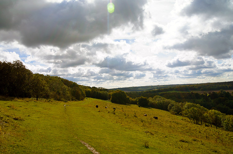 The view south across Coombe Hill