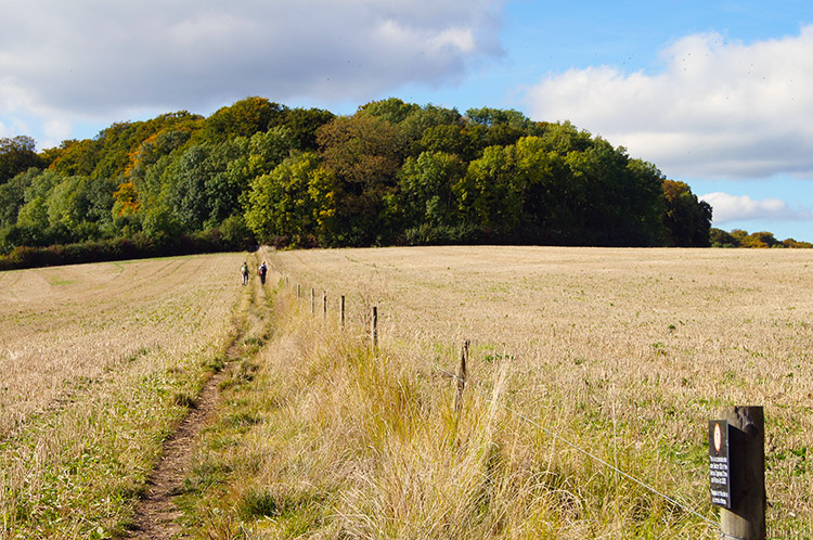 Walkers heading towards Maple Wood