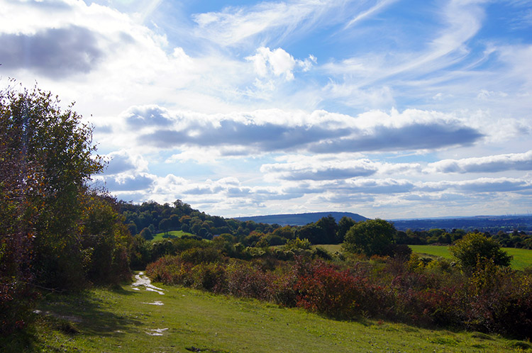 Grangelands and Pulpit Hill Nature Reserve