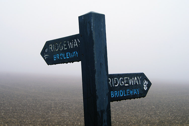 A misty morning for walking