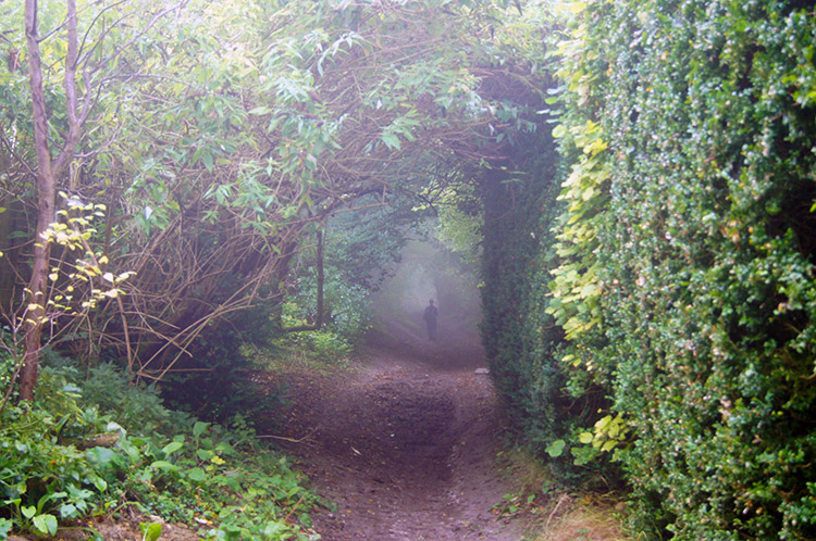 Following Swan's Way near Kingston Blount