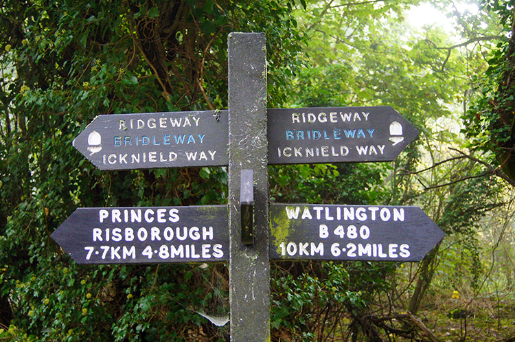 Cannot get lost on this stretch of the Ridgeway