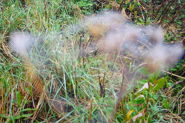 Ghostly Ridgeway scene