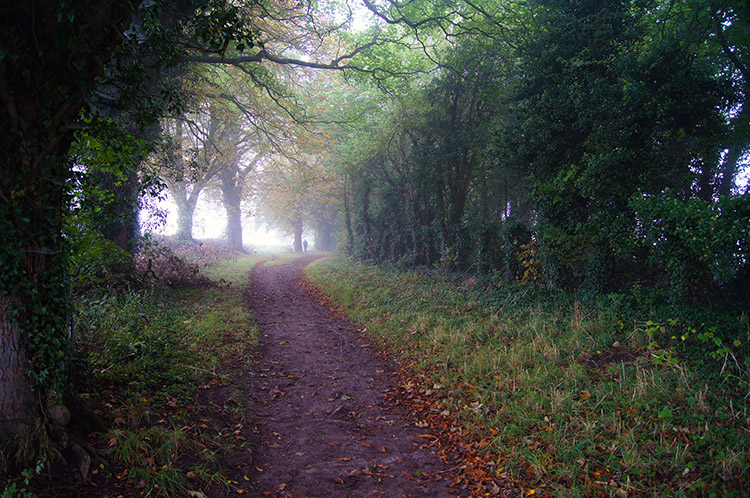 First glint of an improvement at Cuckoo Pen