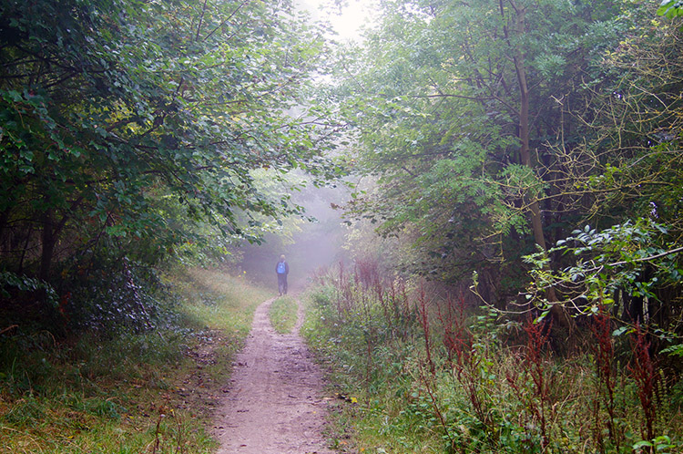 A walker ahead of me near Watlington