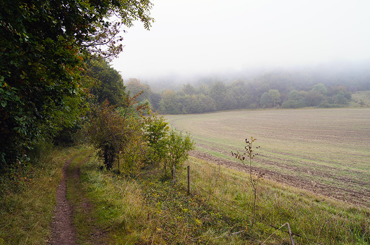 Swyncombe Downs