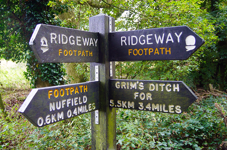 Way post on Grim's Ditch near Nuffield