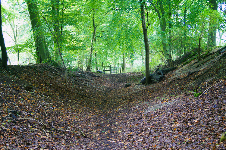 Grim's Ditch near Morrell's Bottom