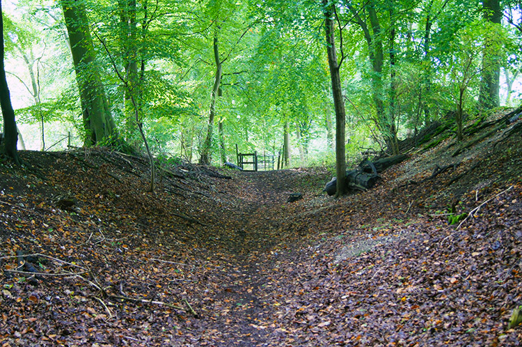 Grim's Ditch near Morrell's Bottom