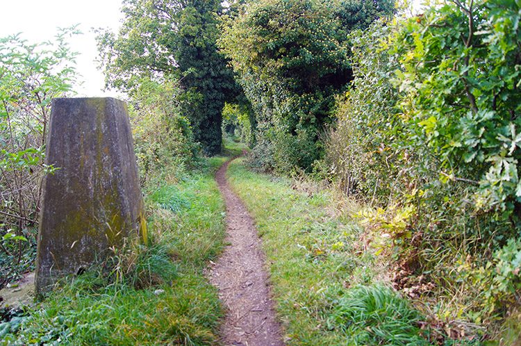 A unusual place to find a trig point