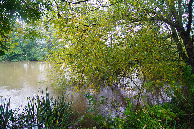 River Thames near Wallingford