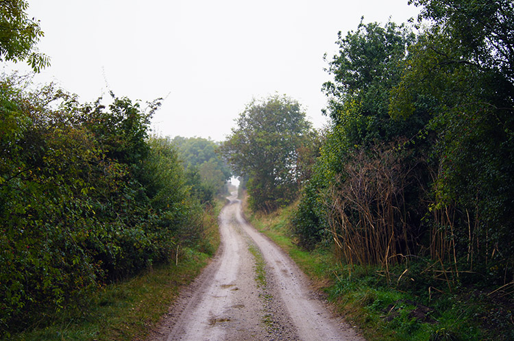 Ridgeway Path near Streatley Common