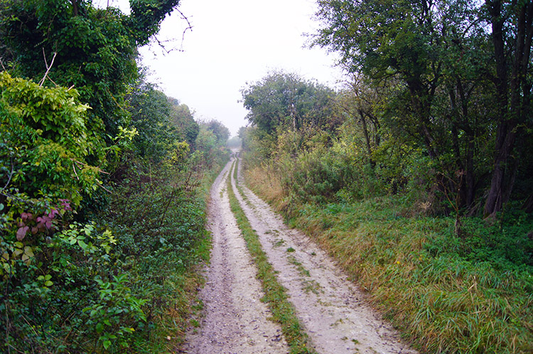 Following the Ridgeway across the Berkshire Downs