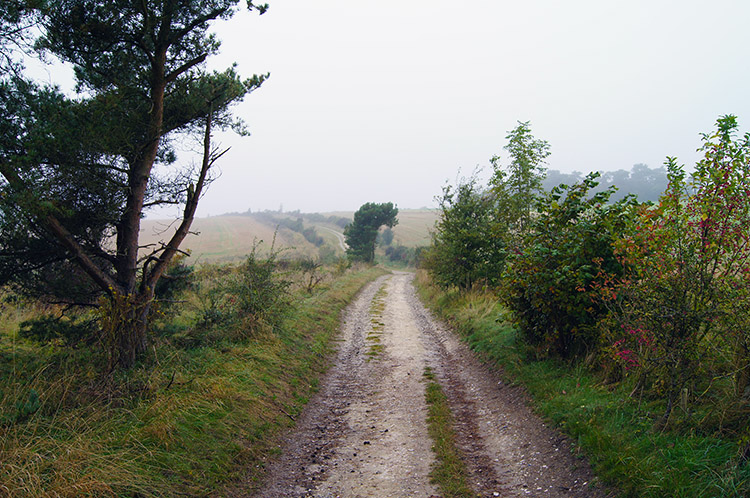 No sign of sunshine on the Ridgeway today