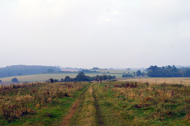 Downland Villages Riding Route