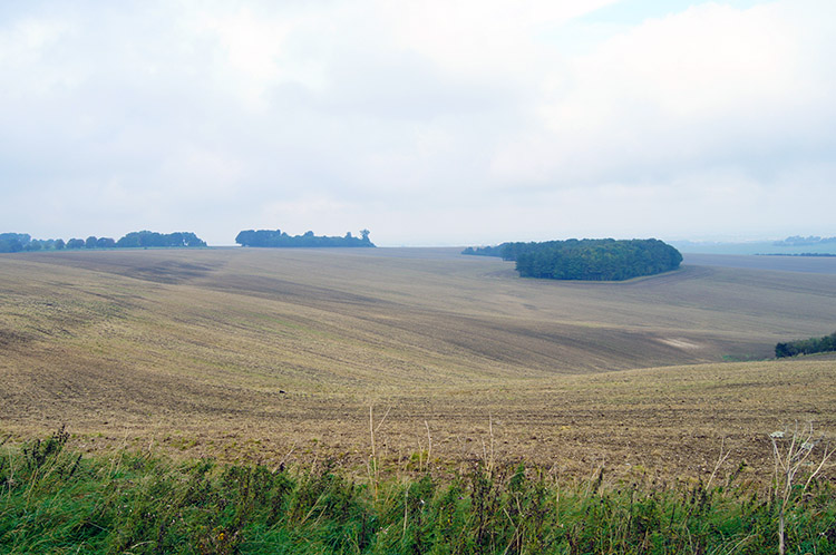 Middlehill Down