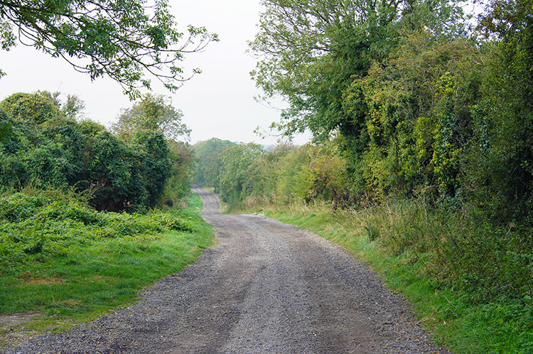 Near Pewit Farm