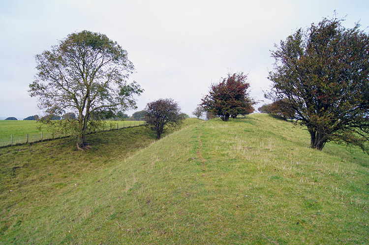 The bank of of Segsbury Camp/ Letcombe Castle