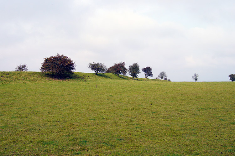 Segsbury Camp/ Letcombe Castle