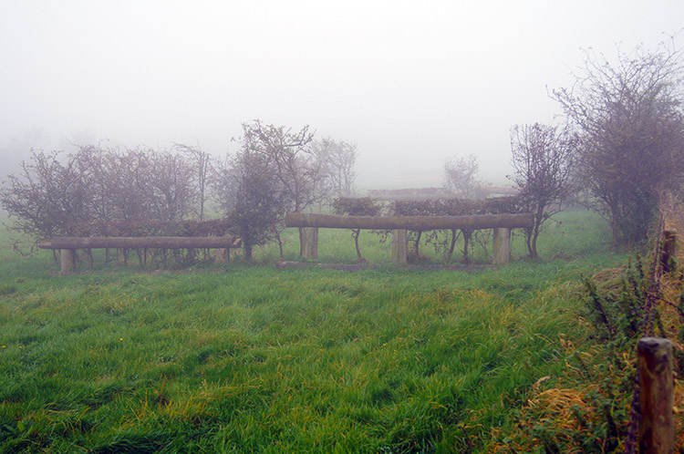 Steeplechase fences