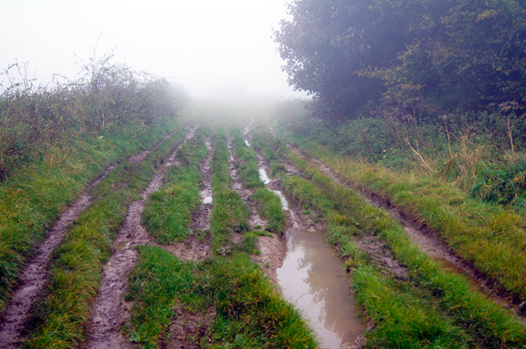 Ruts on the Ridgeway