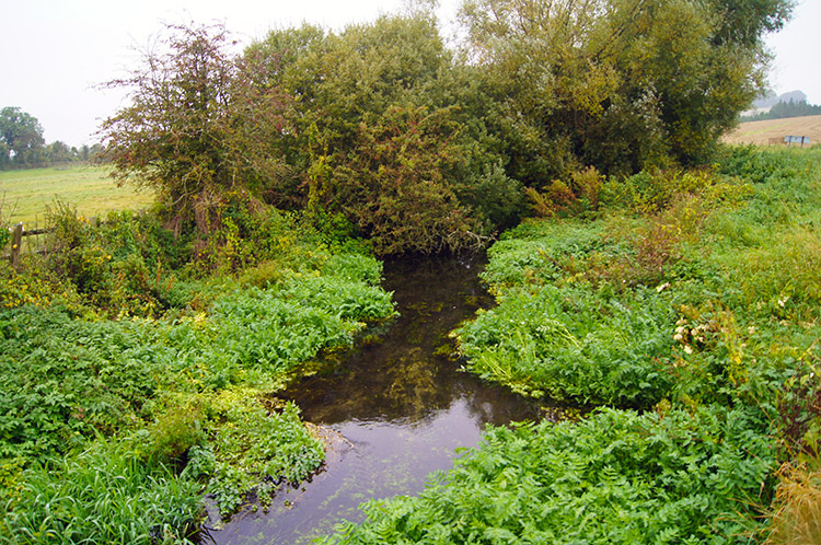 Swallowhead Spring, East Kennett