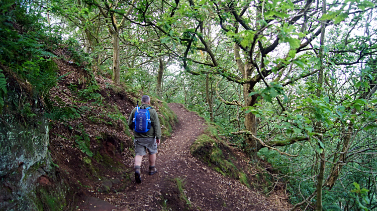 Climbing Frodsham Hill