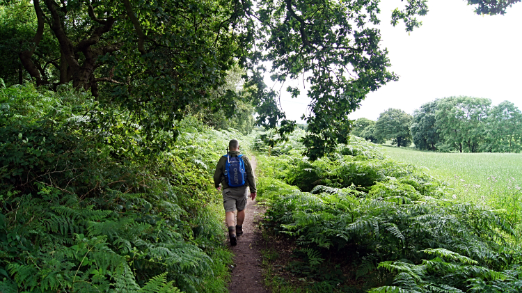 Barry leads the way past Queen Charlotte's Wood