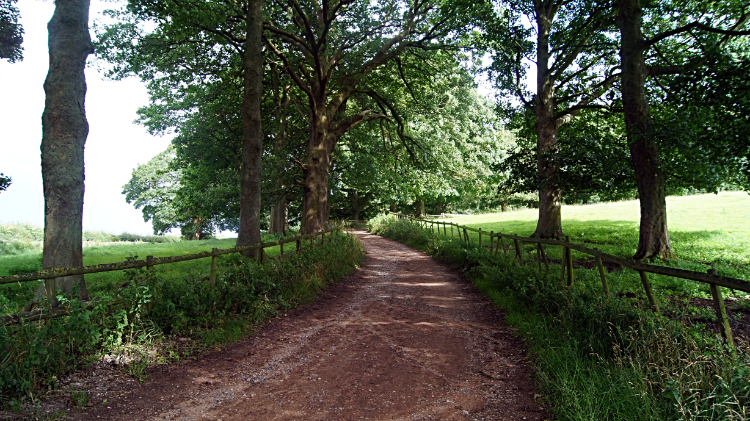 Heading for Hangingstone Hill