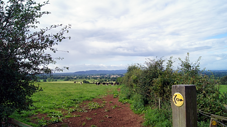 Into the open south-east of Kelsall