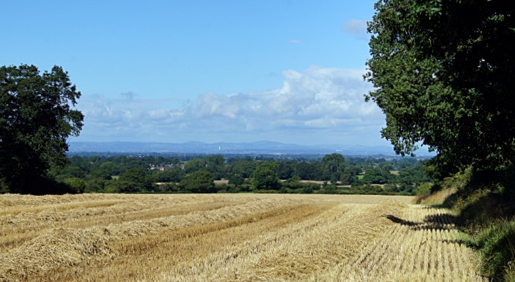 Pastoral view to Snowdonia