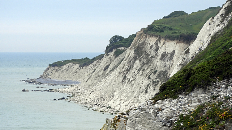 Chalk cliffs at Holywell Ledge