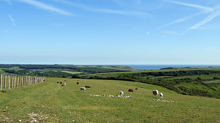 South Downs near Alfriston