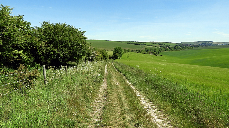 South Downs Way at Cold Coombes