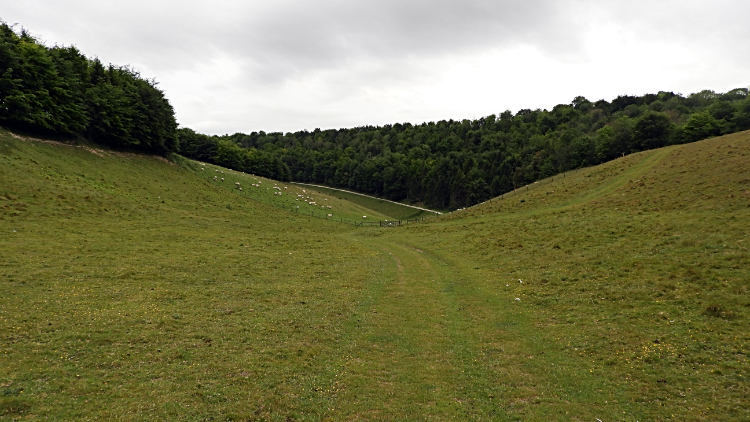 Arundel Park