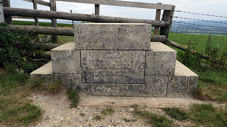 Toby's Stone on Bignor Hill