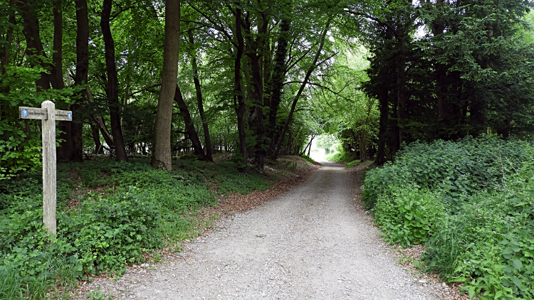 Woodland at Littleton End